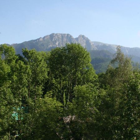 Apartament Top Закопане Экстерьер фото